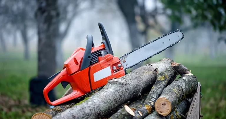 Tree-Removal-Services