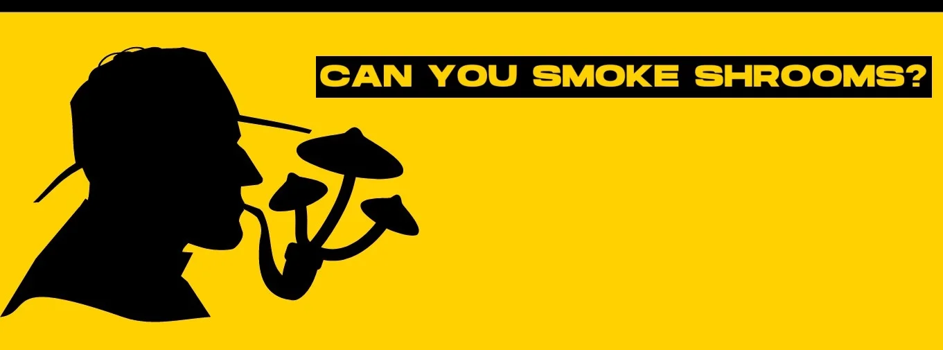 can-you-smoke-mushrooms