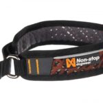 Perfect-Collars-for-Your-Dog