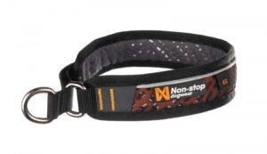 Perfect-Collars-for-Your-Dog