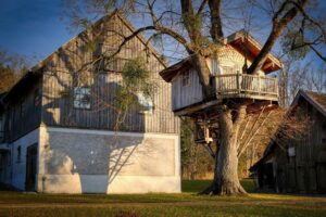 First-Treehouse-Camping-Trip