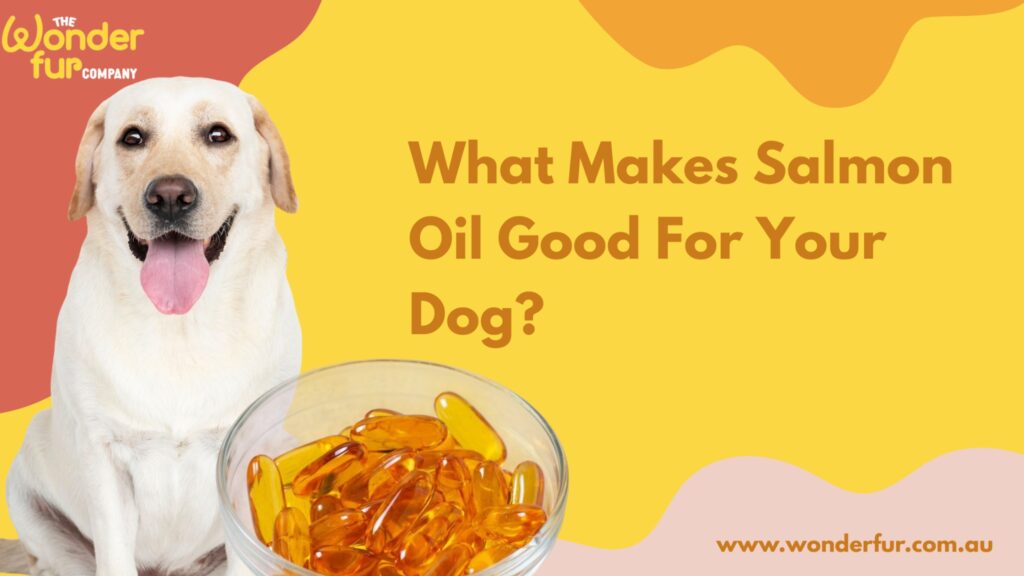 salmon-oil-for-dogs