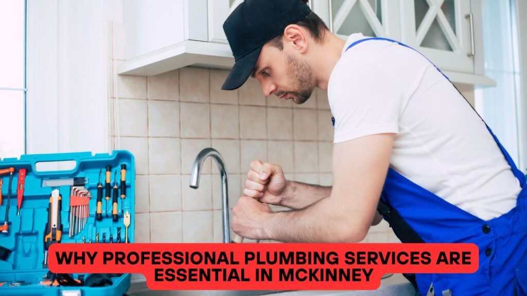 Why Professional Plumbing Services Are Essential in McKinney