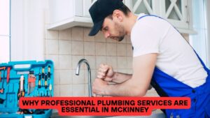 Why Professional Plumbing Services Are Essential in McKinney