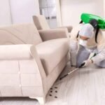Pest-Control-Guide