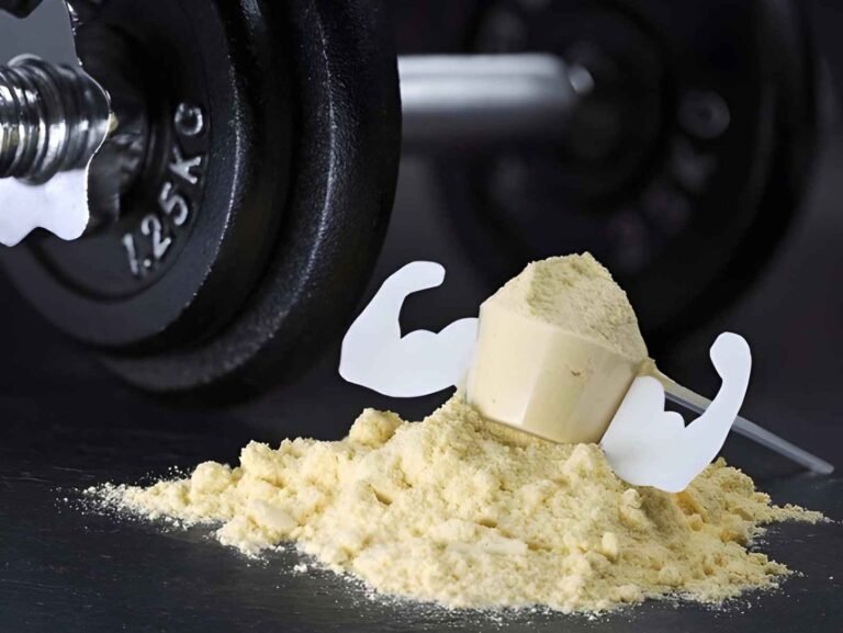best-protein-powder-for-muscle-gain