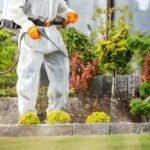 pest-control-in-Stockbridge