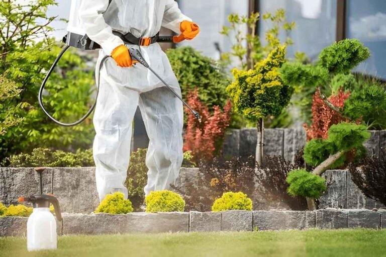 pest-control-in-Stockbridge
